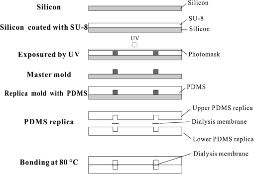 JBO_20_12_121308_f003.png