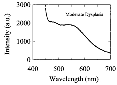 014204j.11.jpg